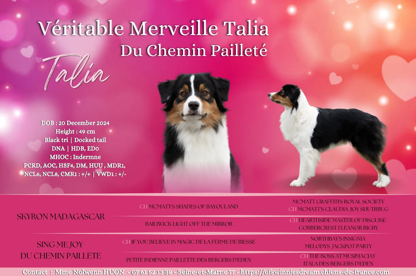 Veritable merveille talia Du Chemin Pailleté