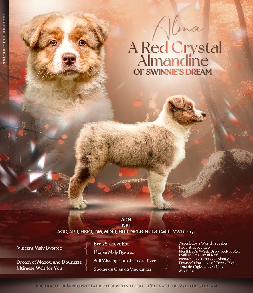 A red crystal almandine Of Swinnie's Dream