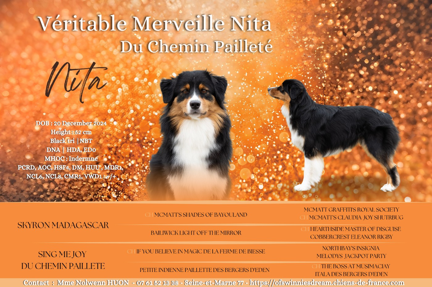 Véritable merveille nita du Chemin Pailleté Du Chemin Pailleté